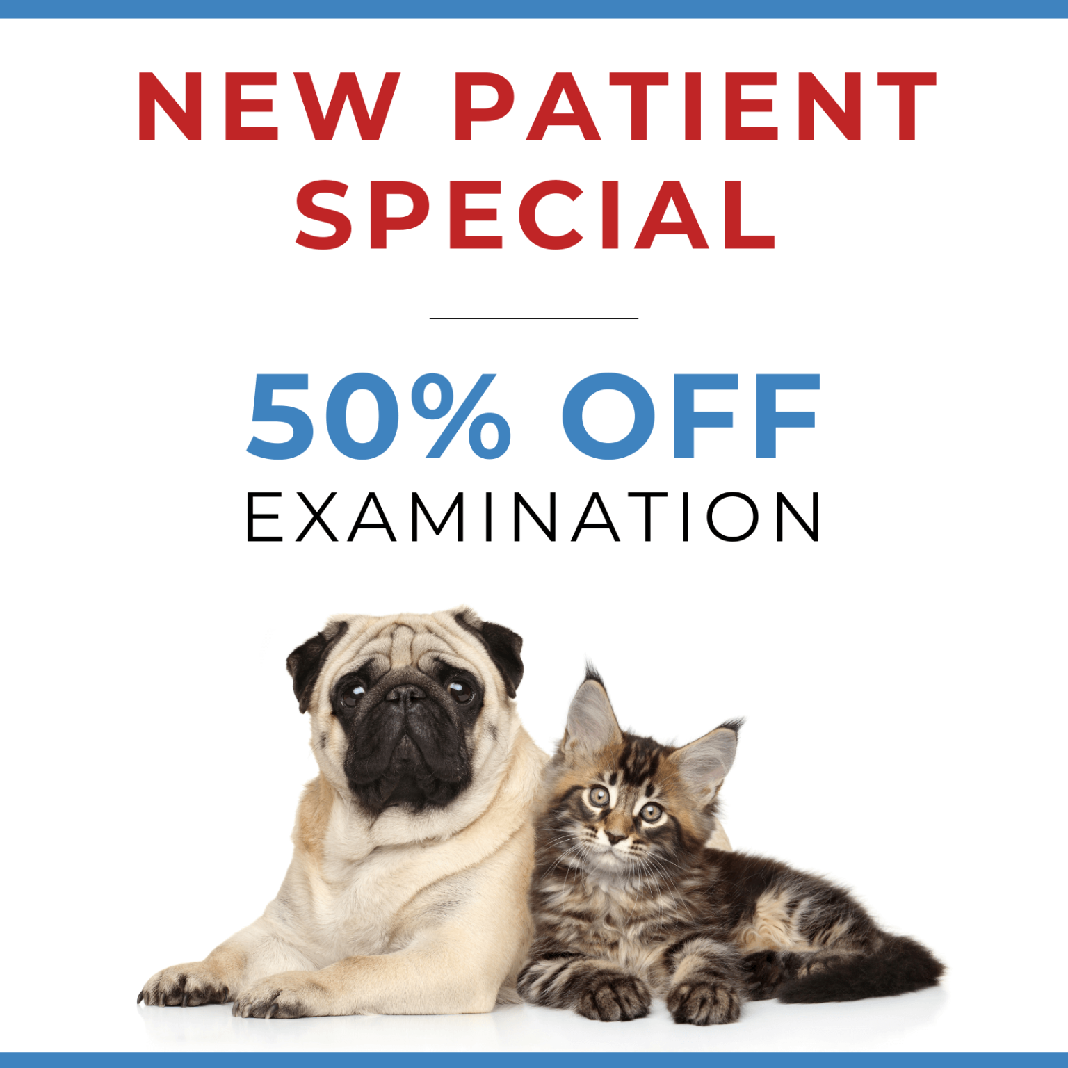 Veterinary Hospital in Roseville, CA Roseville Animal Medical Center